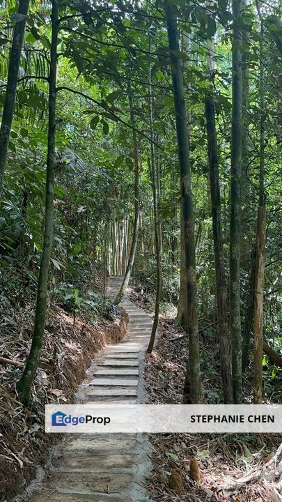 Land at Tanarimba Janda Baik nice view hilltop for sale, Pahang, Bentong