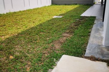 Dalia Residences @ Tropicana Aman