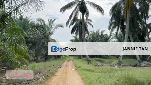 Pekan Simpang Tiga Ijok Agriculture Land For Sale, Selangor, Klang