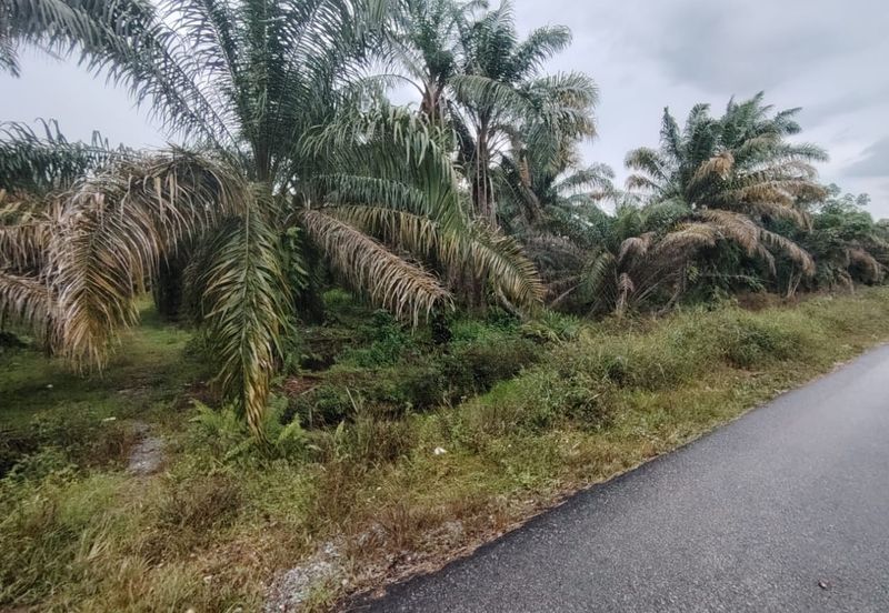Kampung Melayu Raya Pekan Nenas Pontian tanah seluas 4.445 ekar
