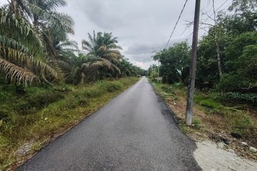 Kampung Melayu Raya Pekan Nenas Pontian tanah seluas 4.445 ekar