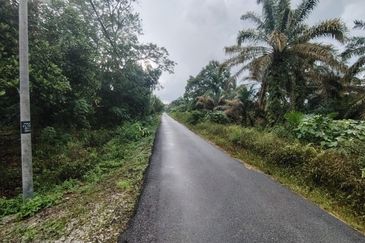 Kampung Melayu Raya Pekan Nenas Pontian tanah seluas 4.445 ekar