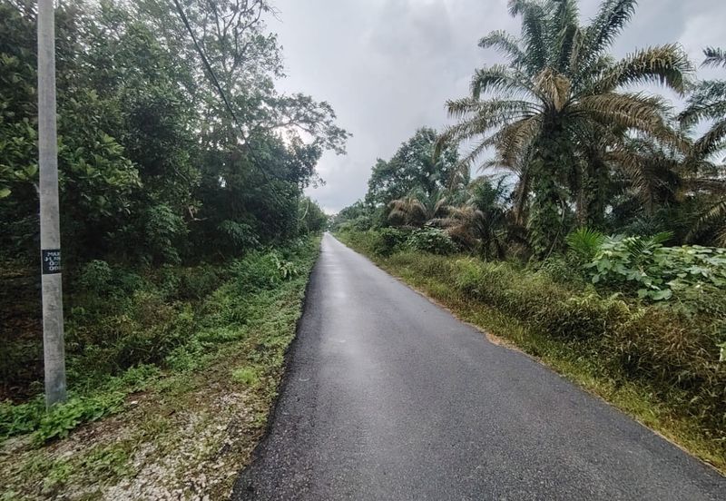 Kampung Melayu Raya Pekan Nenas Pontian tanah seluas 4.445 ekar