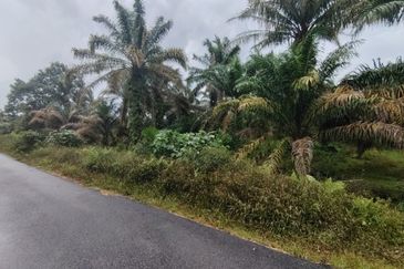 Kampung Melayu Raya Pekan Nenas Pontian tanah seluas 4.445 ekar