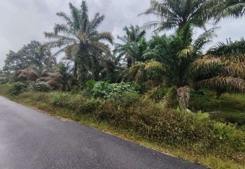 Kampung Melayu Raya Pekan Nenas Pontian tanah seluas 4.445 ekar