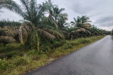 Kampung Melayu Raya Pekan Nenas Pontian tanah seluas 4.445 ekar