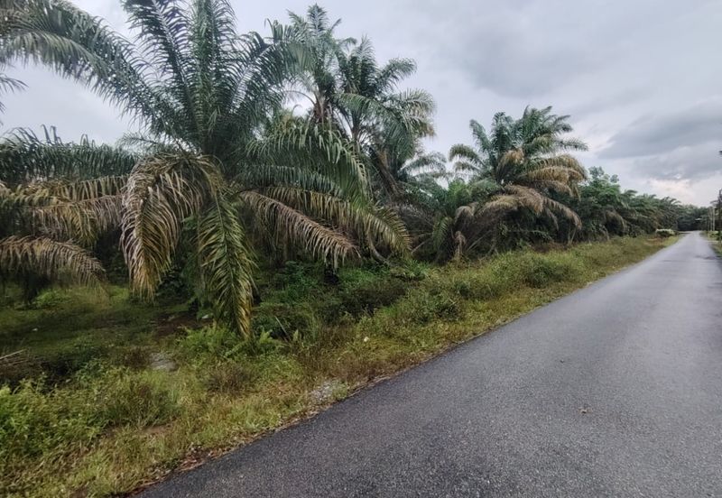 Kampung Melayu Raya Pekan Nenas Pontian tanah seluas 4.445 ekar
