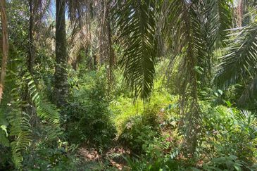 Kampung Sungai Gajah