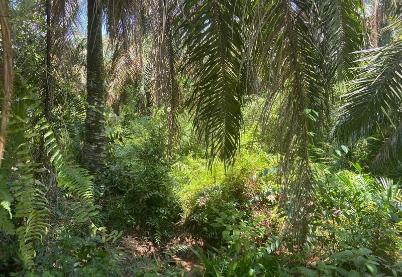 Kampung Sungai Gajah