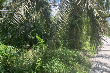 Kampung Sungai Gajah
