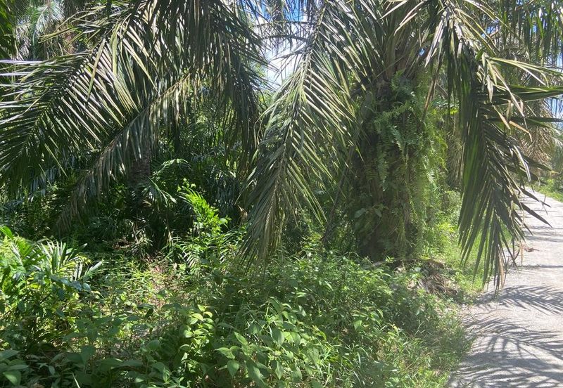 Kampung Sungai Gajah