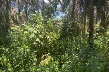 Kampung Sungai Gajah