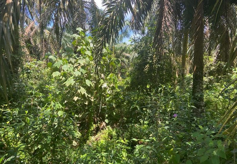 Kampung Sungai Gajah