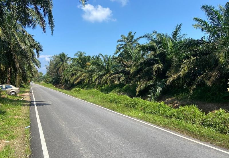 Kampung Parit Simpan Senggarangng Tanah Seluas 4.5 Ekar