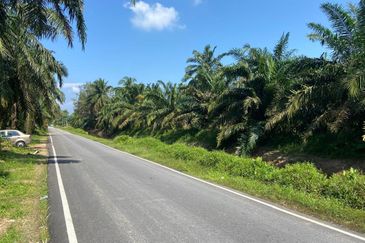 Kampung Parit Simpan Senggarangng Tanah Seluas 4.5 Ekar
