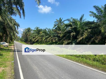 Kampung Parit Simpan Senggarangng Tanah Seluas 4.5 Ekar, Johor, Batu Pahat