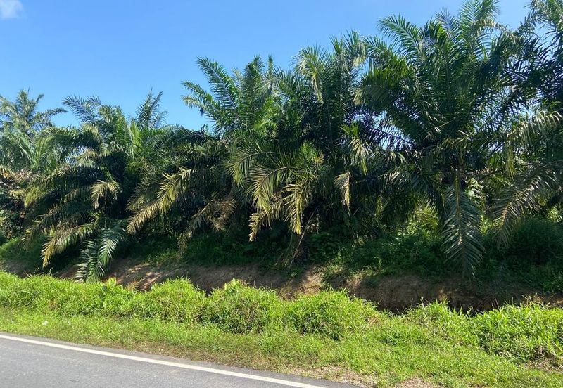 Kampung Parit Simpan Senggarangng Tanah Seluas 4.5 Ekar