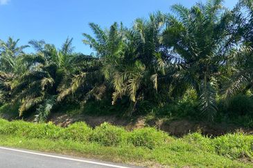 Kampung Parit Simpan Senggarangng Tanah Seluas 4.5 Ekar