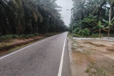 Kampung Parit Permatang Senggarang Tanah Seluas 1.22 Ekar