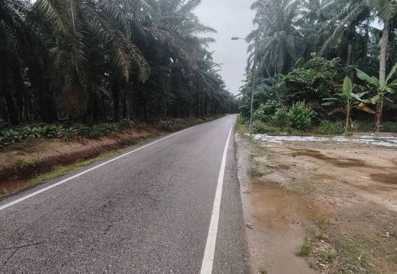 Kampung Parit Permatang Senggarang Tanah Seluas 1.22 Ekar