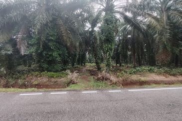 Kampung Parit Permatang Senggarang Tanah Seluas 1.22 Ekar