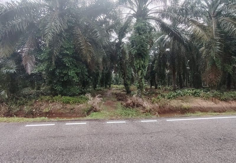 Kampung Parit Permatang Senggarang Tanah Seluas 1.22 Ekar