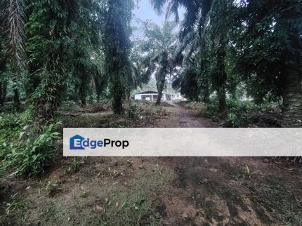 Kampung Parit Permatang Senggarang Tanah Seluas 1.22 Ekar, Johor, Batu Pahat