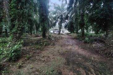 Kampung Parit Permatang Senggarang Tanah Seluas 1.22 Ekar