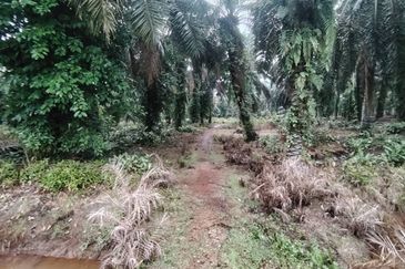 Kampung Parit Permatang Senggarang Tanah Seluas 1.22 Ekar