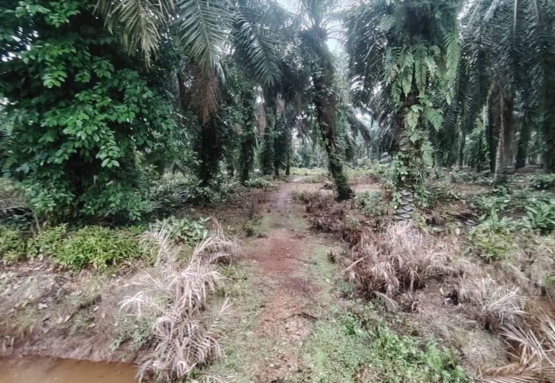 Kampung Parit Permatang Senggarang Tanah Seluas 1.22 Ekar