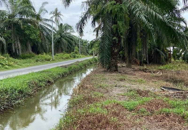 Kampung Linau Kecil Batu Pahat Tanah seluas 6.4 Ekar ( Freeehold dan Non Bumi)