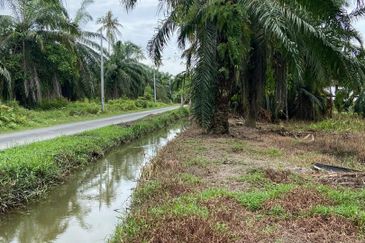 Kampung Linau Kecil Batu Pahat Tanah seluas 6.4 Ekar ( Freeehold dan Non Bumi)
