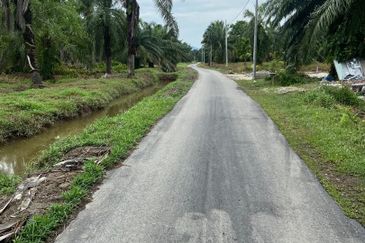 Kampung Linau Kecil Batu Pahat Tanah seluas 6.4 Ekar ( Freeehold dan Non Bumi)