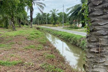 Kampung Linau Kecil Batu Pahat Tanah seluas 6.4 Ekar ( Freeehold dan Non Bumi)