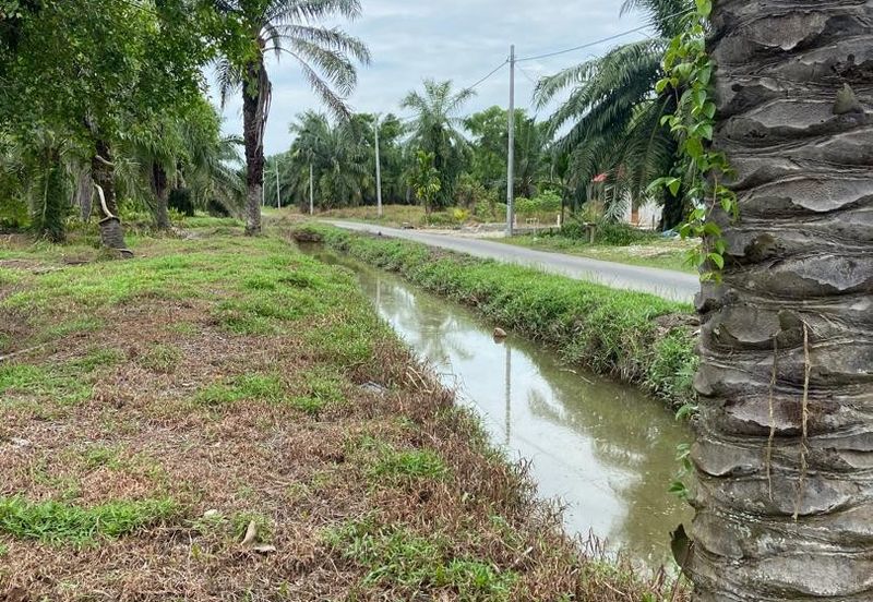 Kampung Linau Kecil Batu Pahat Tanah seluas 6.4 Ekar ( Freeehold dan Non Bumi)