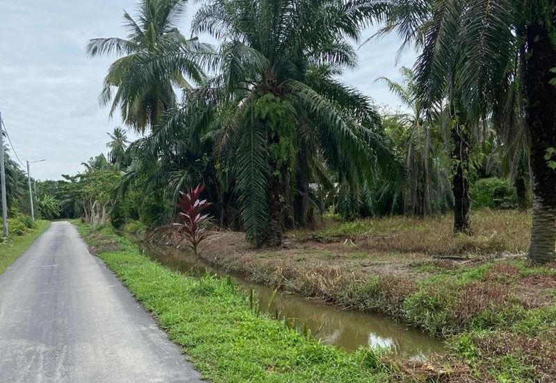 Kampung Linau Kecil Batu Pahat Tanah seluas 6.4 Ekar ( Freeehold dan Non Bumi)
