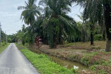 Kampung Linau Kecil Batu Pahat Tanah seluas 6.4 Ekar ( Freeehold dan Non Bumi)