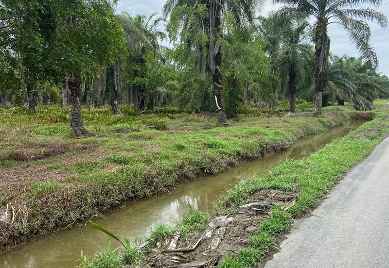 Kampung Linau Kecil Batu Pahat Tanah seluas 6.4 Ekar ( Freeehold dan Non Bumi)