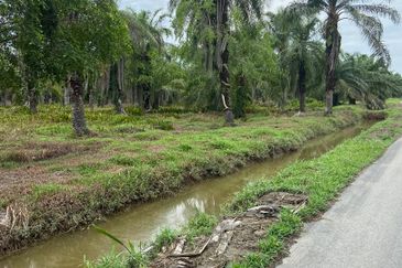 Kampung Linau Kecil Batu Pahat Tanah seluas 6.4 Ekar ( Freeehold dan Non Bumi)