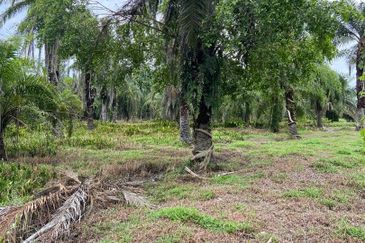 Kampung Linau Kecil Batu Pahat Tanah seluas 6.4 Ekar ( Freeehold dan Non Bumi)