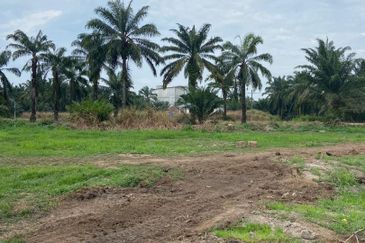 Tanah 1 Ekar Di Bukit Gambir Jalan parit kassim