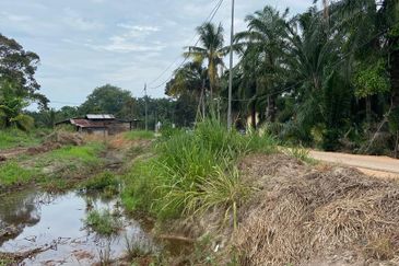 Tanah 1 Ekar Di Bukit Gambir Jalan parit kassim