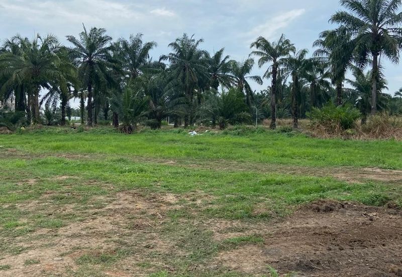 Tanah 1 Ekar Di Bukit Gambir Jalan parit kassim