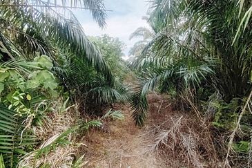 Kampung Parit No 10 Jalan Yusof Sungai Balang Muar