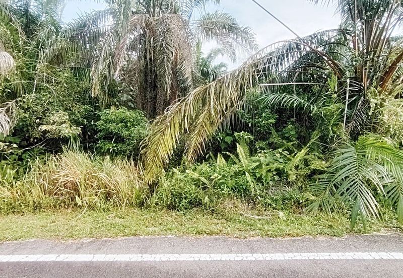Kampung Parit No 10 Jalan Yusof Sungai Balang Muar