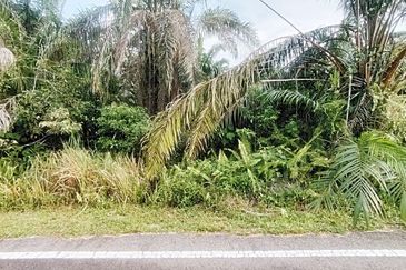 Kampung Parit No 10 Jalan Yusof Sungai Balang Muar