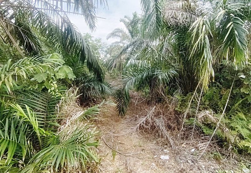 Kampung Parit No 10 Jalan Yusof Sungai Balang Muar