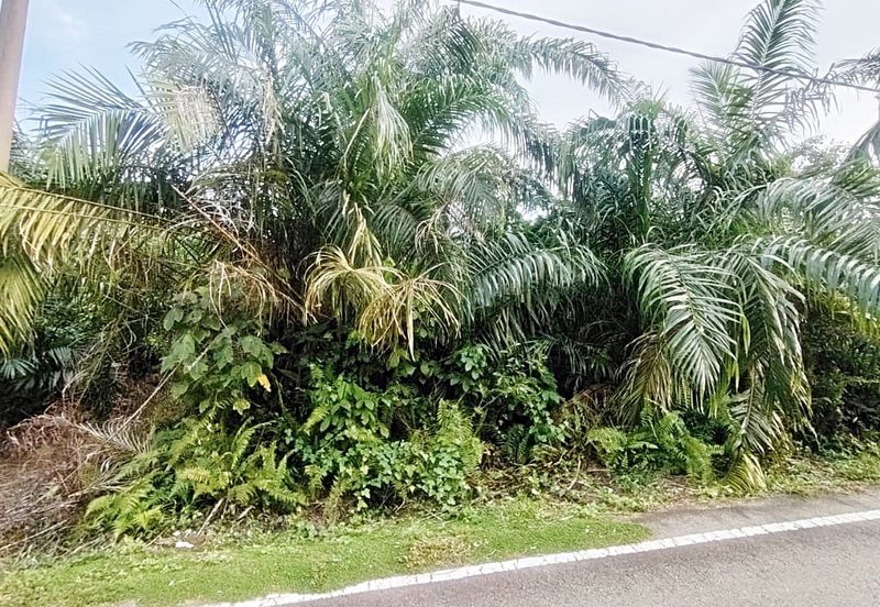 Kampung Parit No 10 Jalan Yusof Sungai Balang Muar