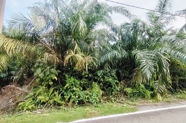 Kampung Parit No 10 Jalan Yusof Sungai Balang Muar