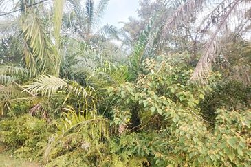 Kampung Parit No 10 Jalan Yusof Sungai Balang Muar